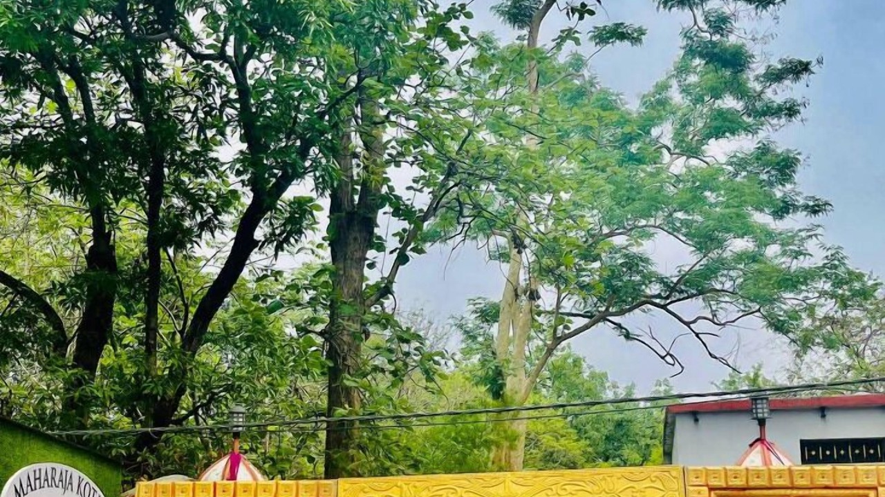 Photo of Outdoor in Tala