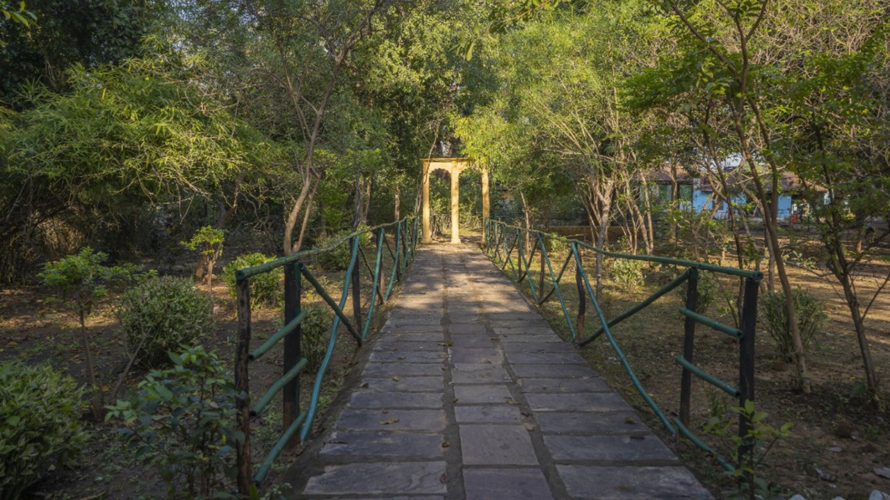 Photo of Others in Tala