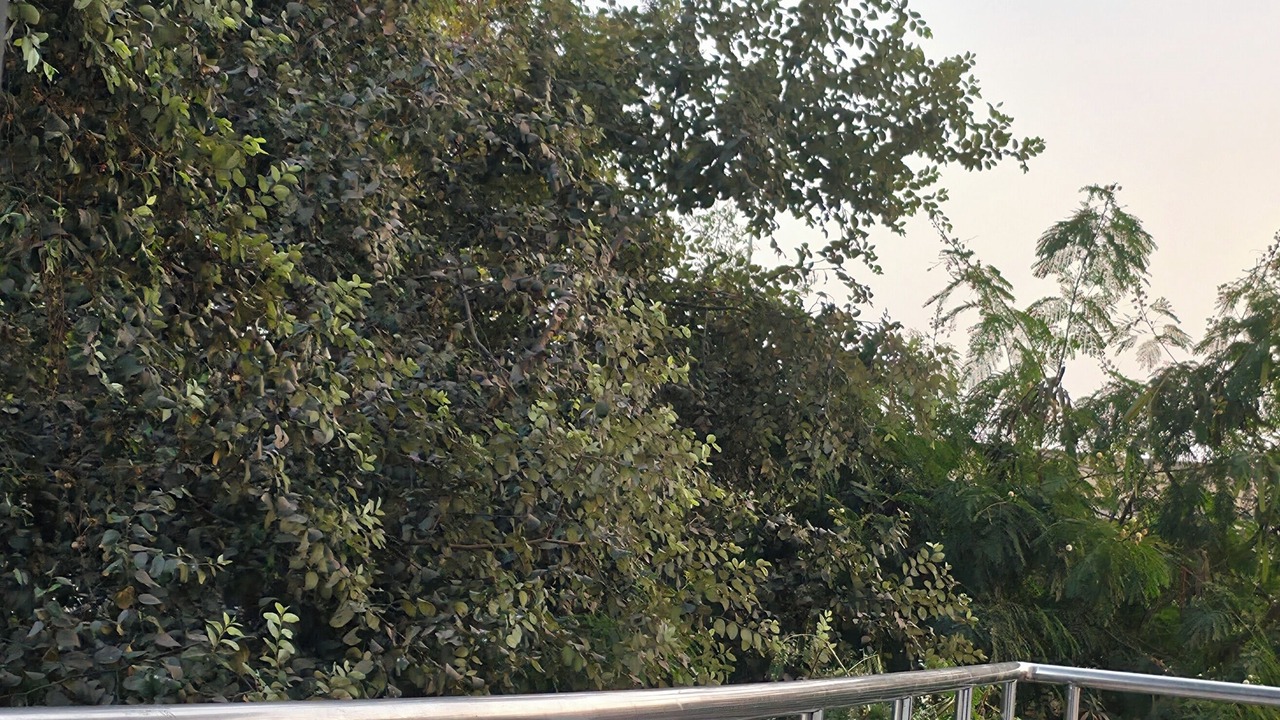 Photo of Patio Balcony in Sundargarh