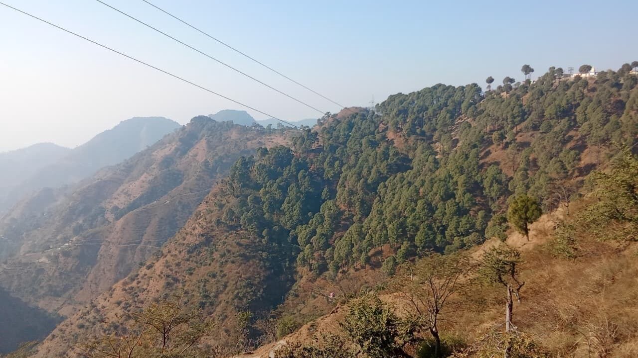 Photo of Others in Dalhousie