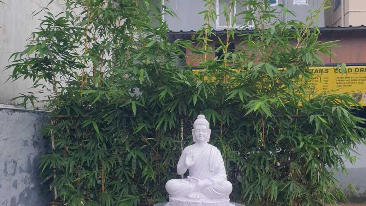Photo of Outdoor in Tiruchanur
