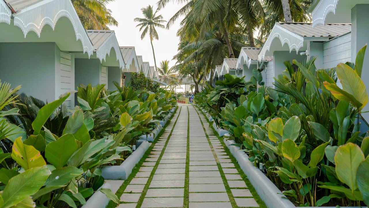 Photo of Outdoor in Canacona