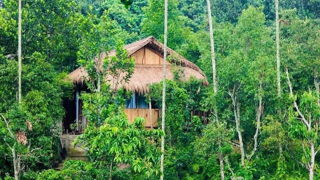 Photo of Outdoor in Sreemangal Upazila