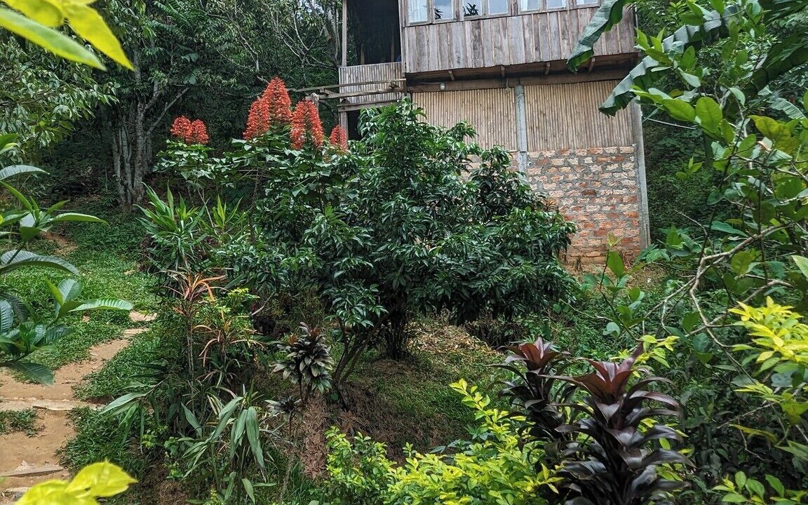 Photo of Outdoor in Sreemangal Upazila