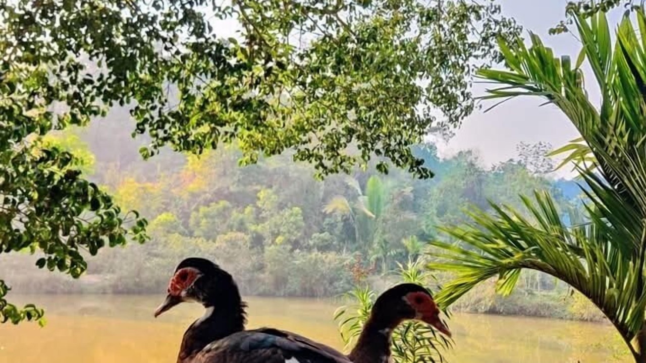 Photo of Outdoor in Sreemangal Upazila