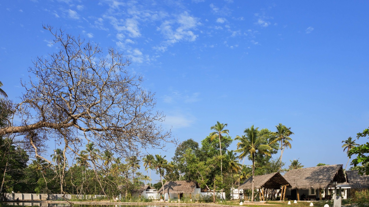 Photo of Outdoor in Mararikulam