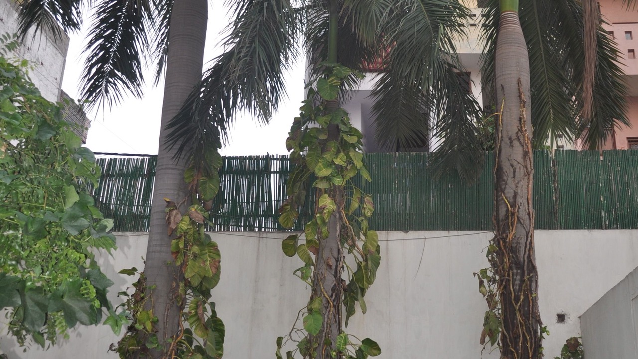 Photo of Outdoor in Jangpura