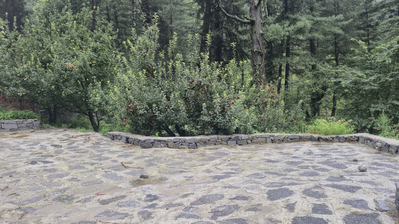 Photo of Outdoor in Manali