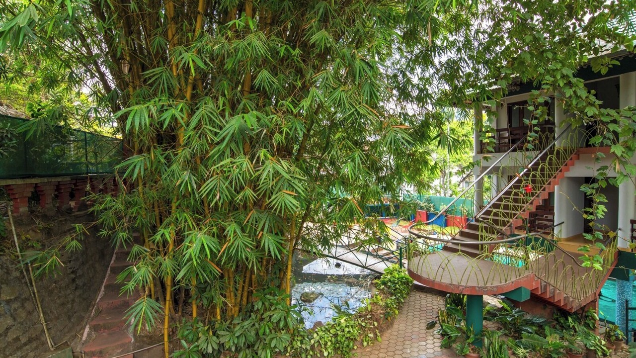 Photo of Outdoor in Kalpetta