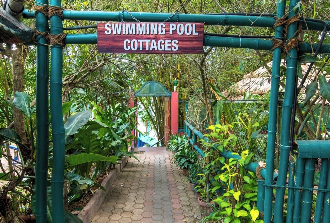 Photo of Outdoor in Kalpetta