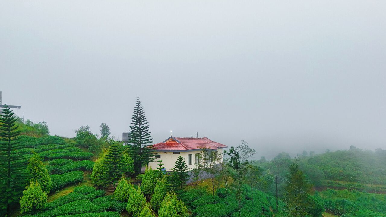 Photo of Outdoor in Vagamon