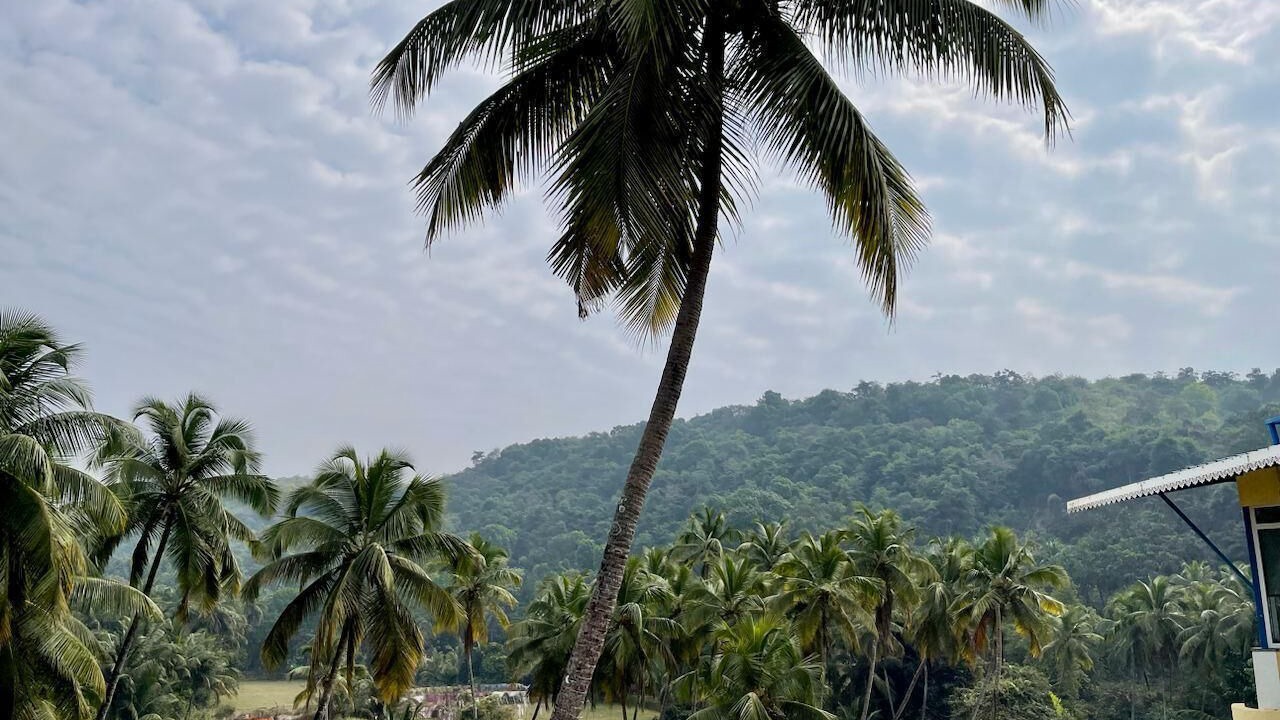 Photo of Outdoor in Arambol