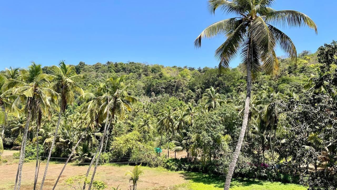 Photo of Outdoor in Arambol