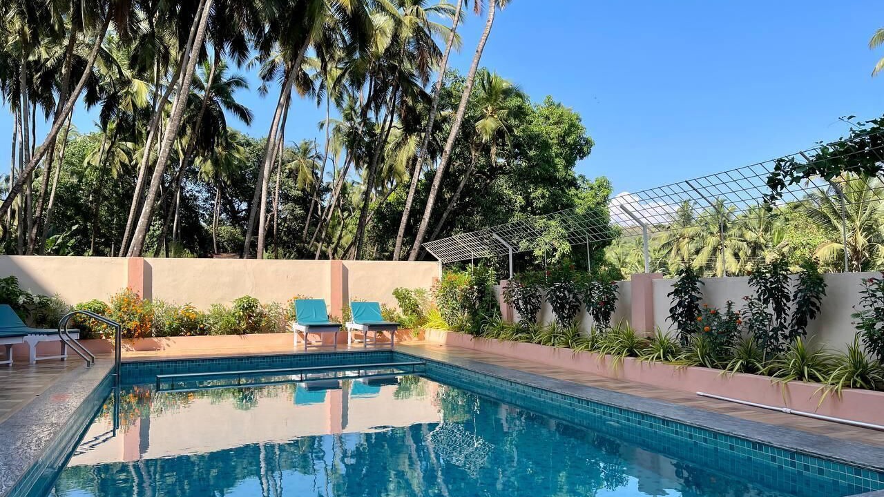 Photo of Outdoor in Arambol