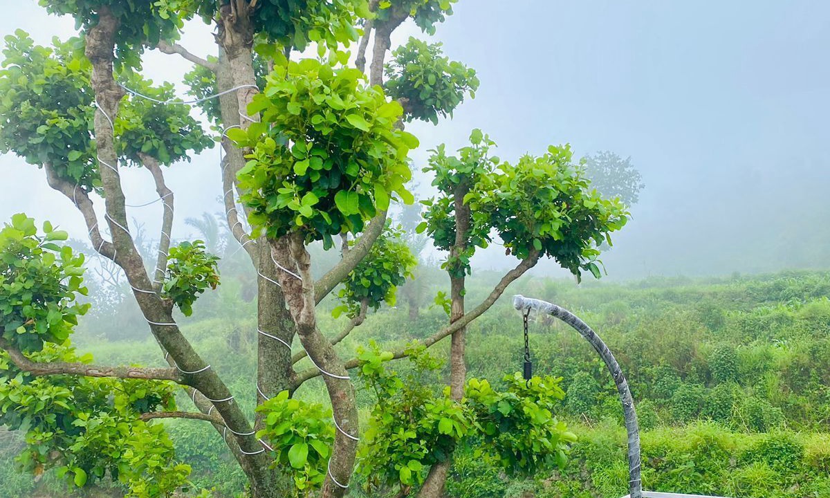 Photo of Outdoor in Sirala