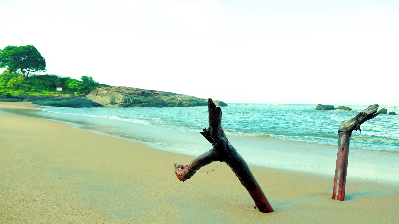 Photo of Others in Kappad