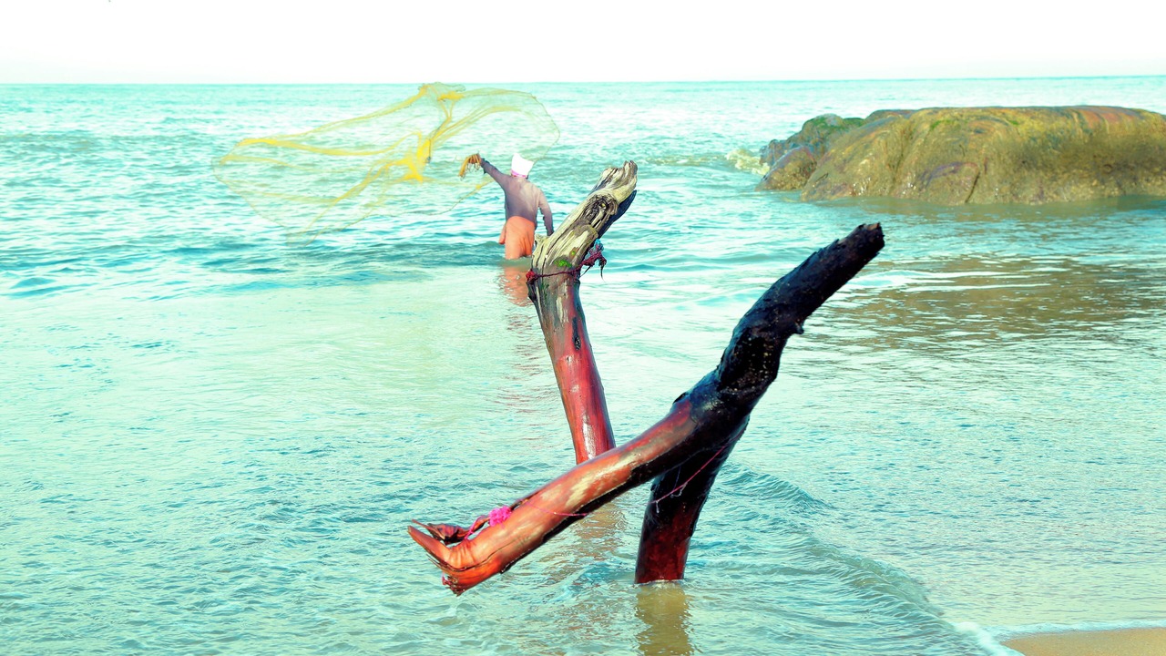 Photo of Others in Kappad