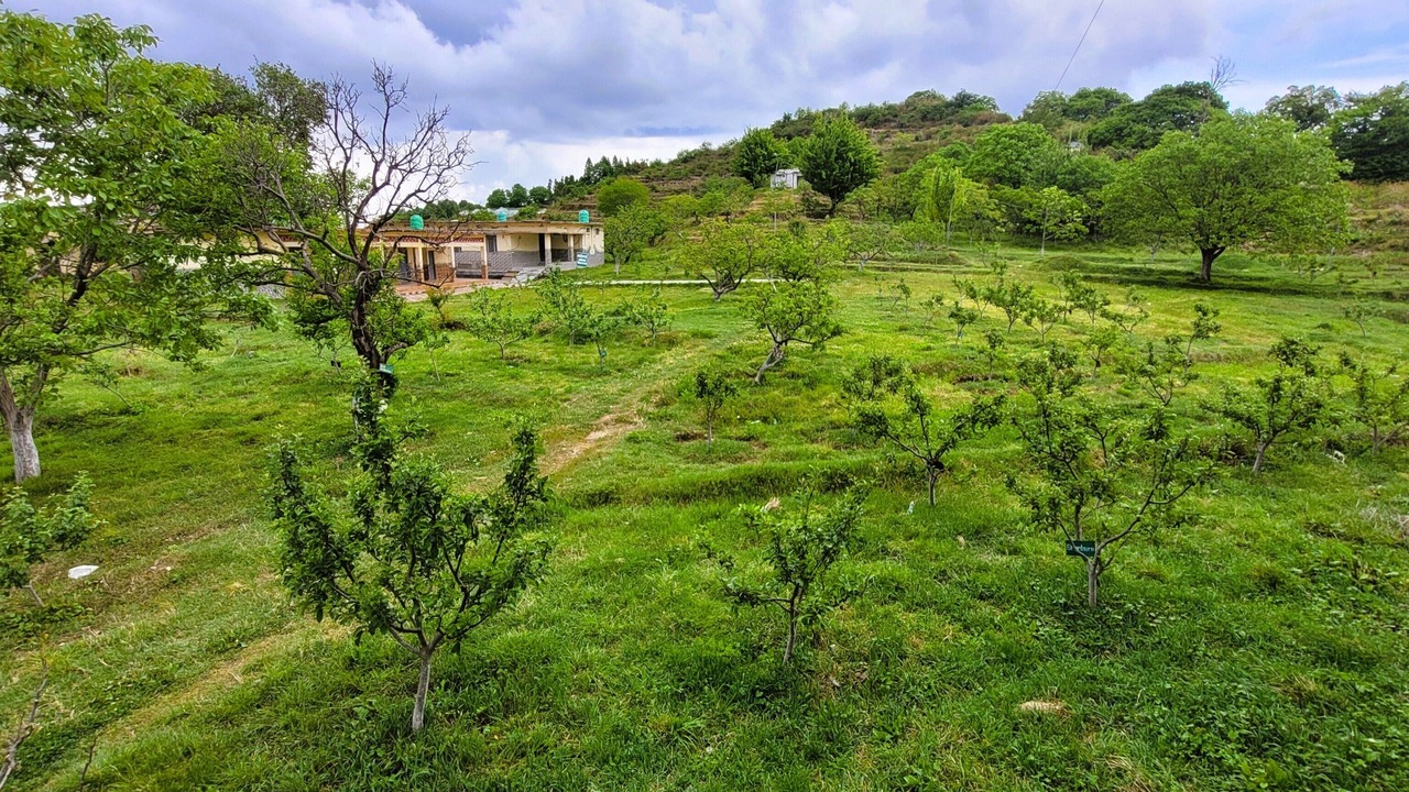 Photo of Patio Balcony in Kanatal