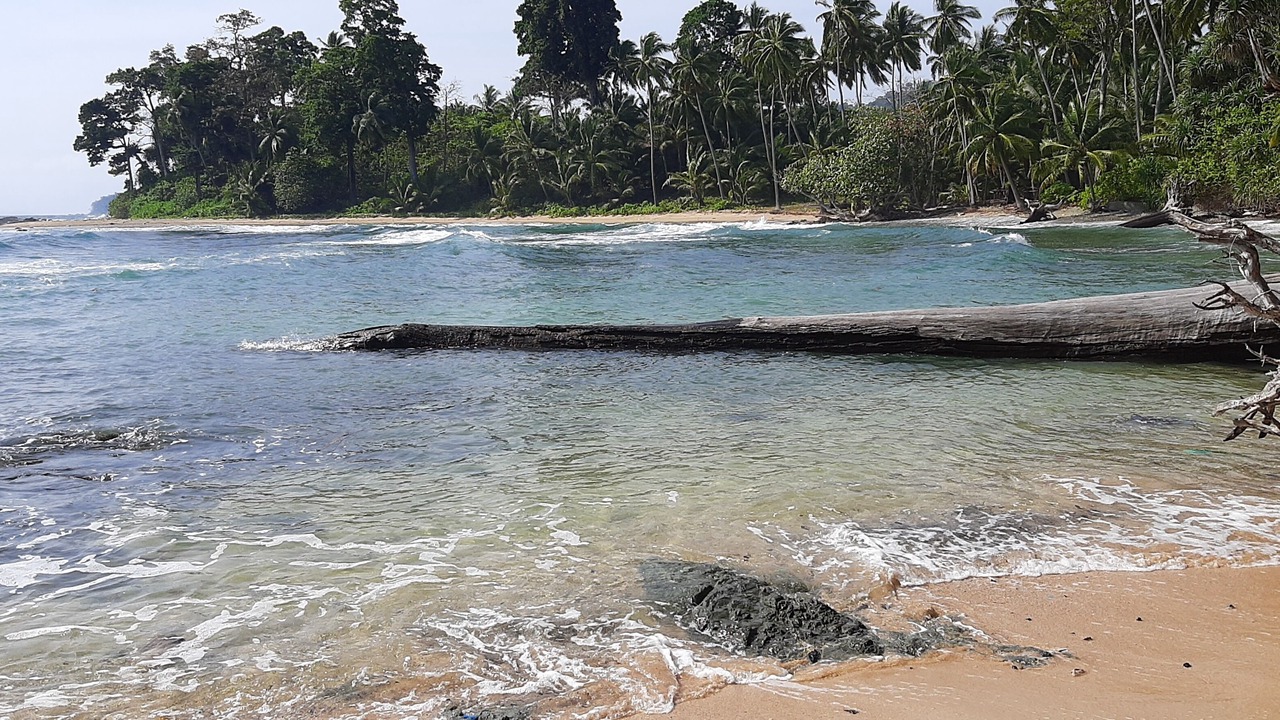 Photo of Others in Port Blair
