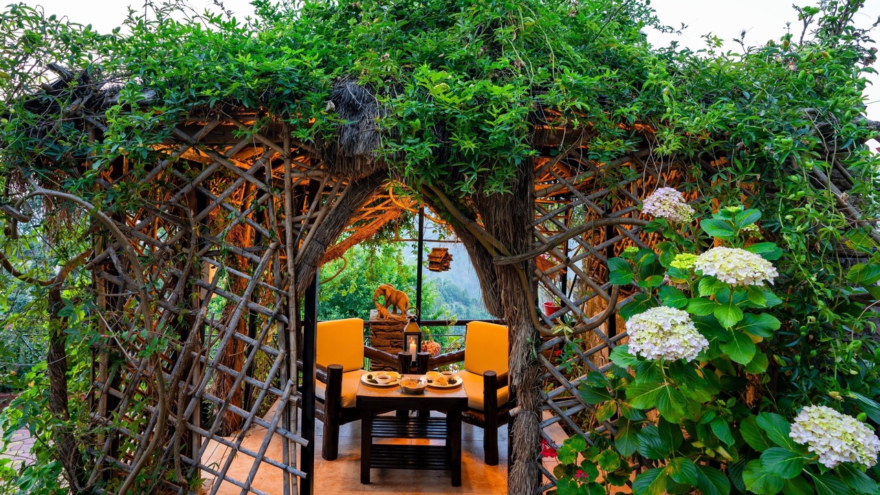 Photo of Outdoor in Kaul