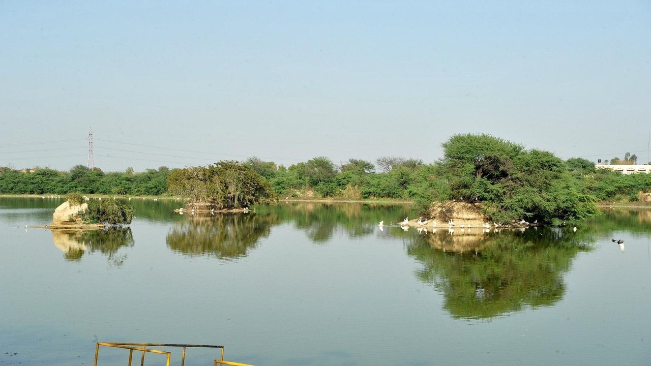 Photo of Outdoor in Hisar