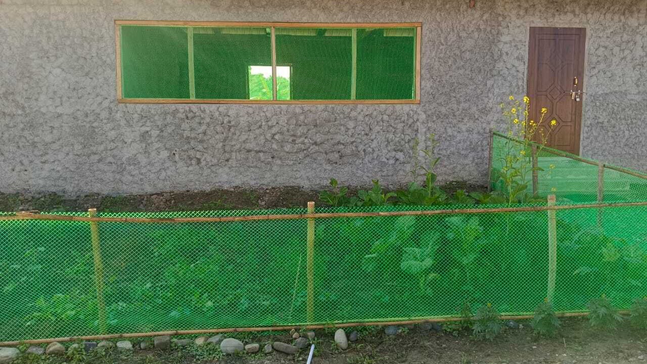 Photo of Outdoor in Barangabari
