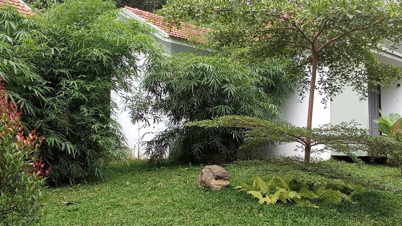 Photo of Outdoor in Sulthan Bathery