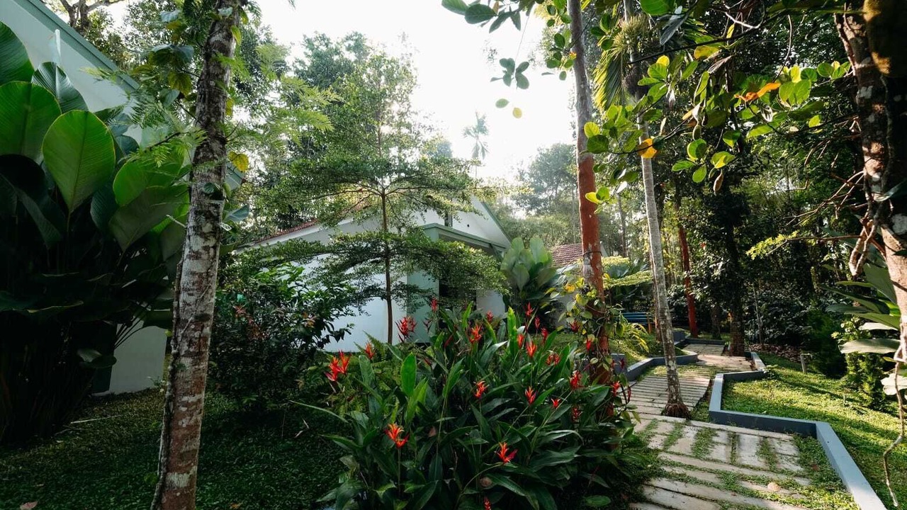 Photo of Outdoor in Sulthan Bathery