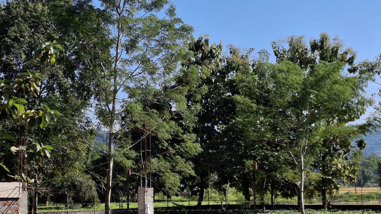 Photo of Outdoor in Hatikhuli