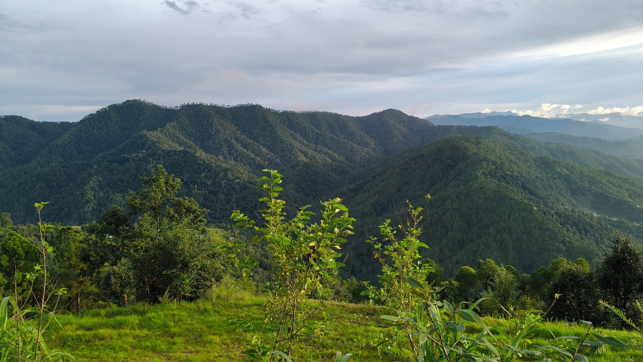 Photo of Outdoor in Almora