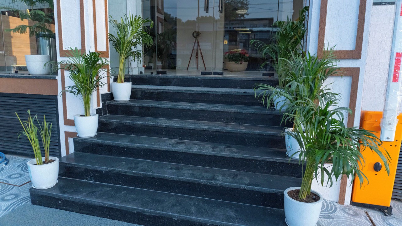 Photo of Outdoor in Rishikesh