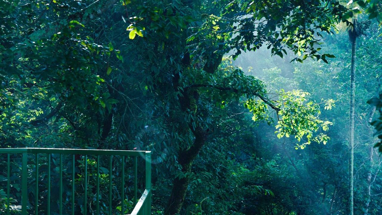 Photo of Outdoor in Kalpetta