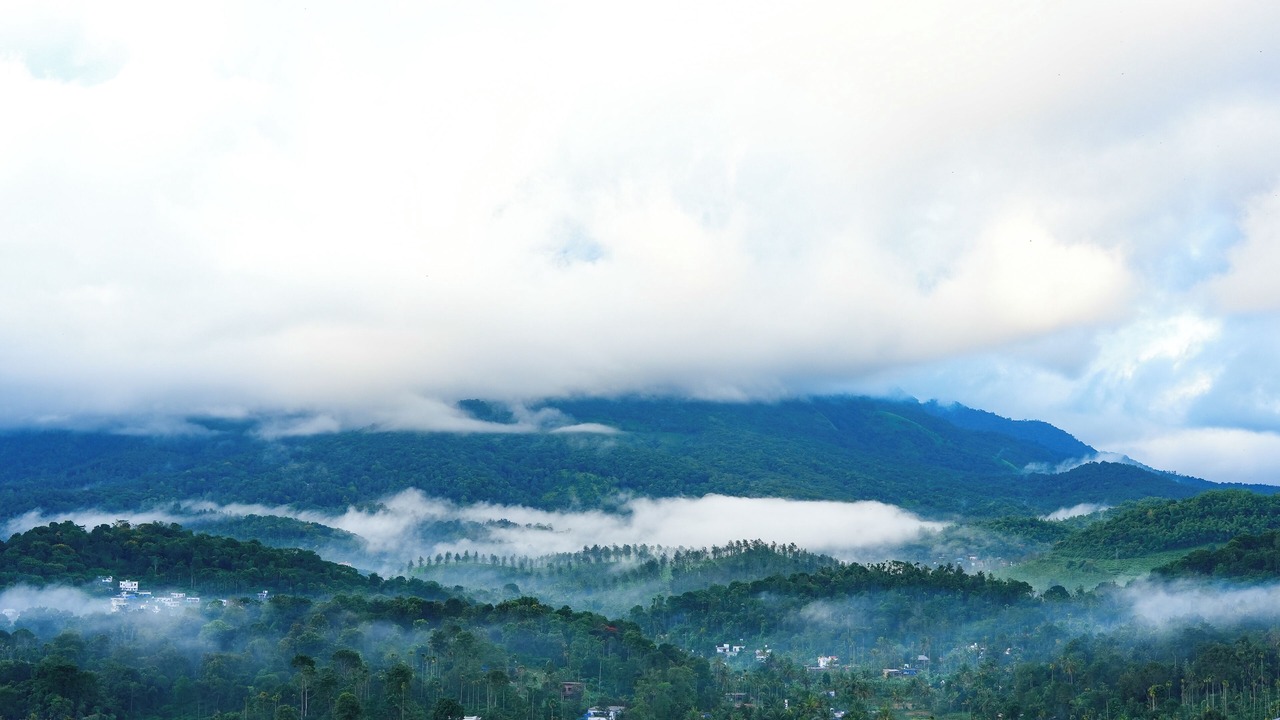 Photo of Others in Kalpetta