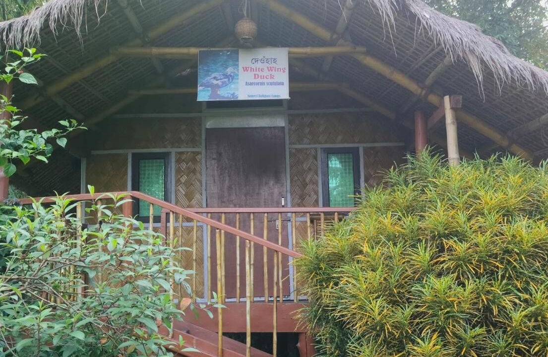 Photo of Others in Balipara