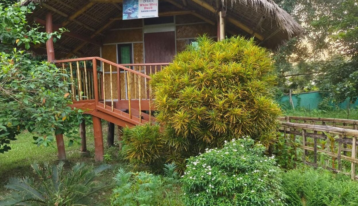 Photo of Outdoor in Balipara