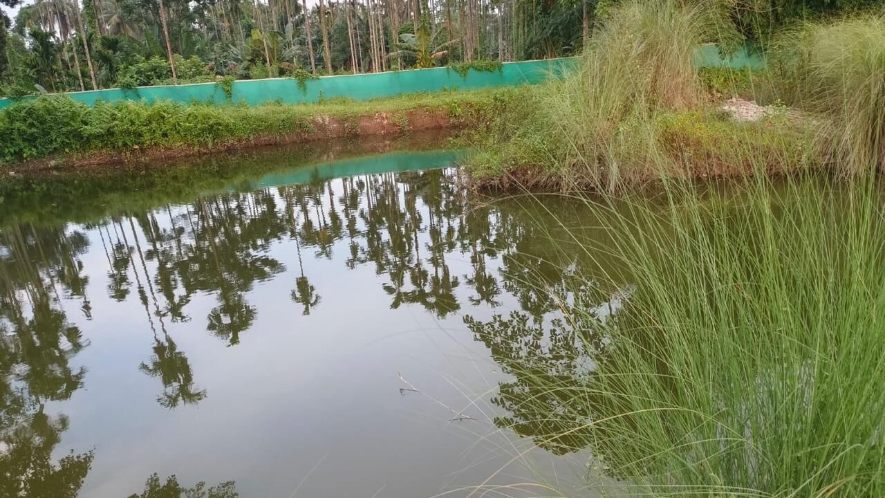 Photo of Others in Balipara