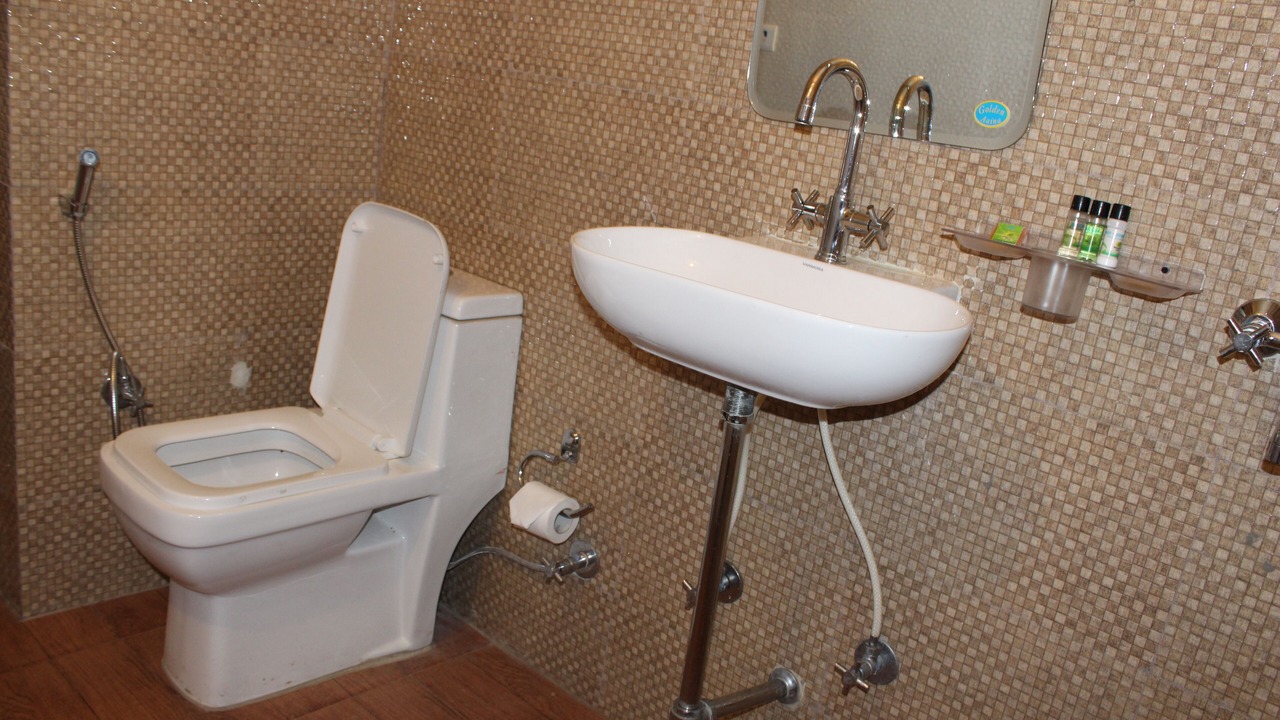 Photo of Bathroom in South City I