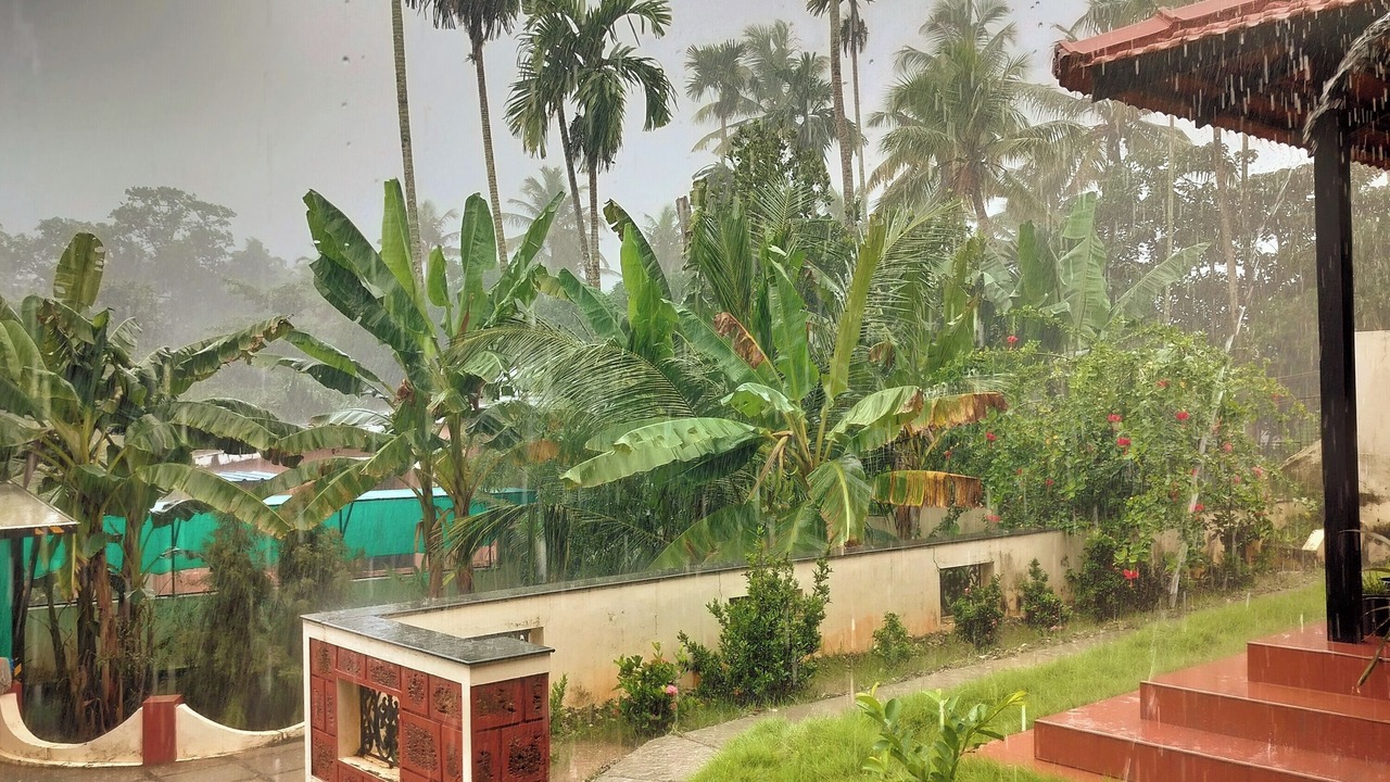 Photo of Outdoor in Varkala