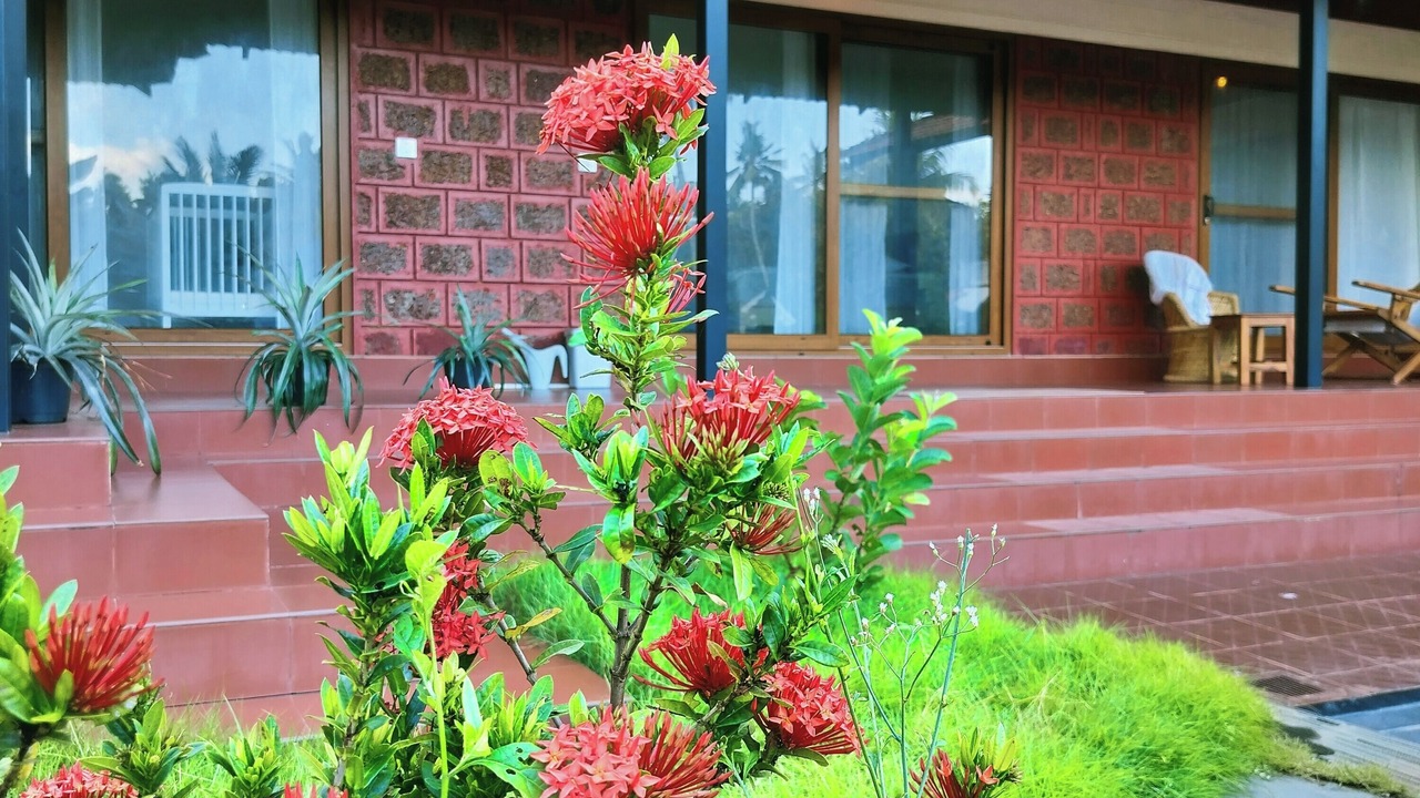 Photo of Outdoor in Varkala