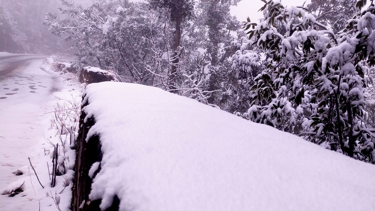 Photo of Outdoor in Mukteshwar