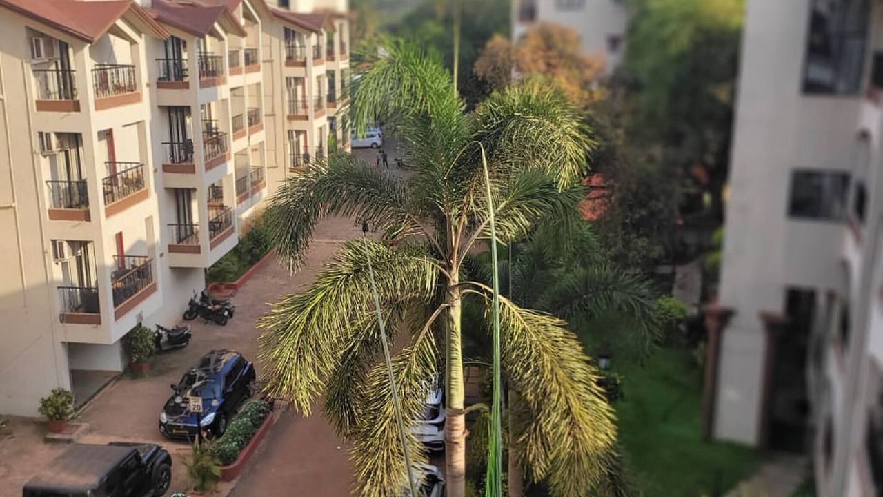 Photo of Outdoor in Assagao