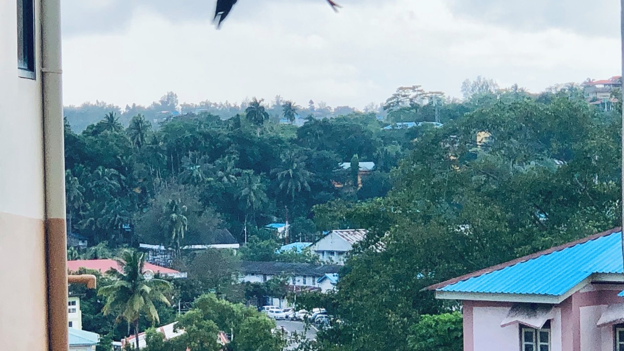 Photo of Outdoor in Port Blair