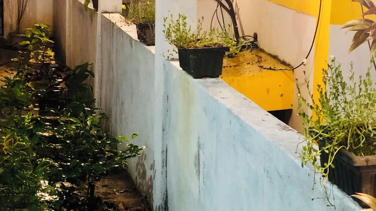 Photo of Patio Balcony in Port Blair