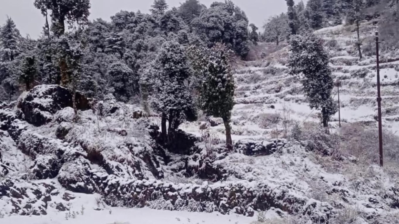 Photo of Outdoor in Dhanaulti