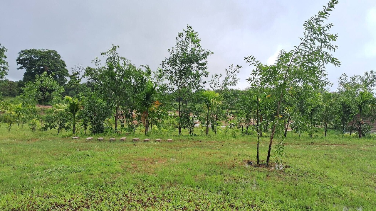 Photo of Outdoor in Timbholi