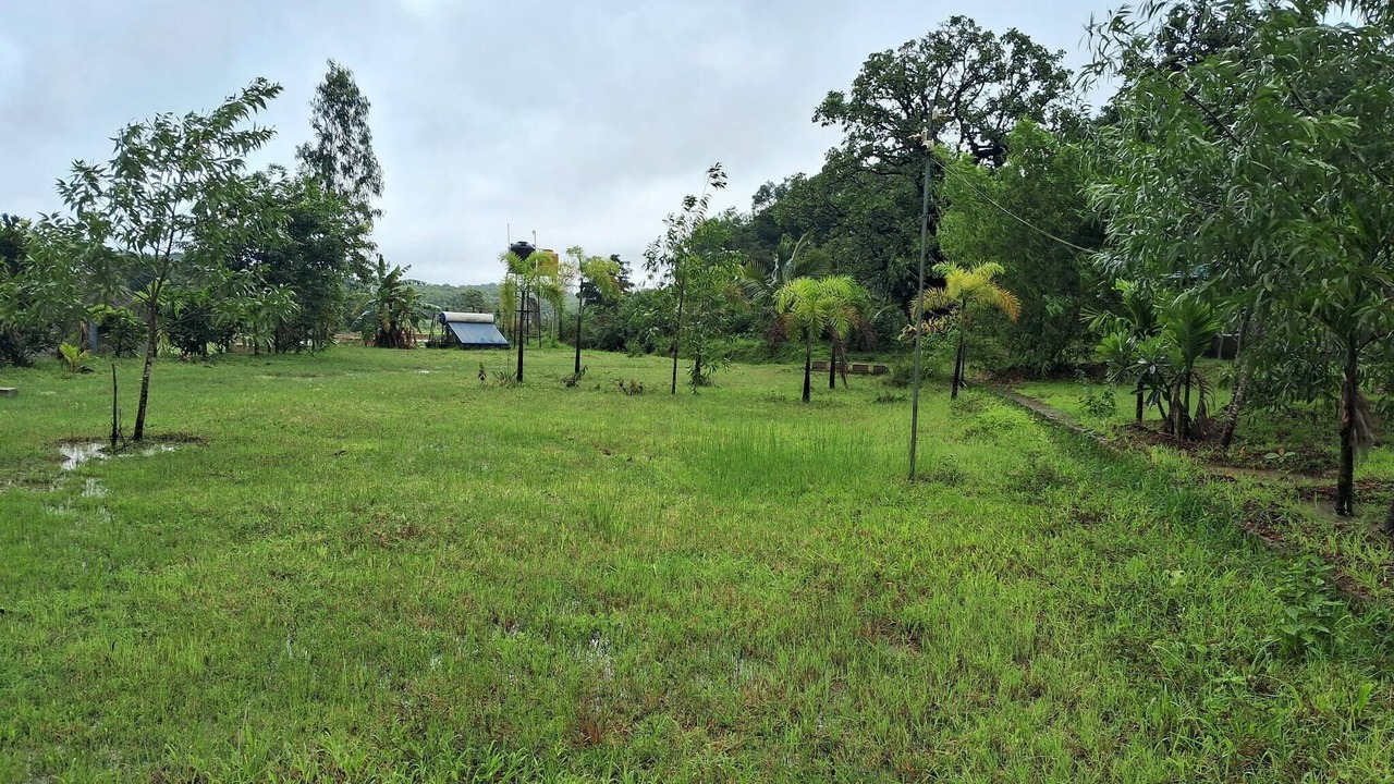Photo of Outdoor in Timbholi