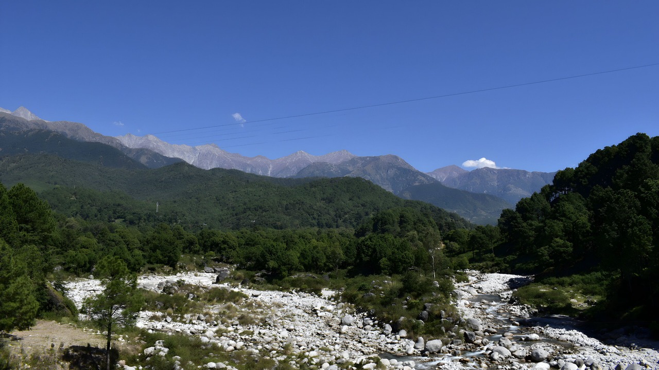 Photo of Others in Palampur