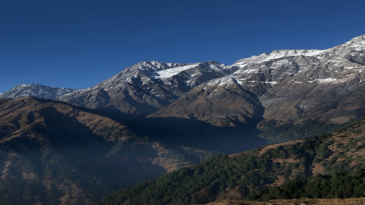 Photo of Others in Palampur