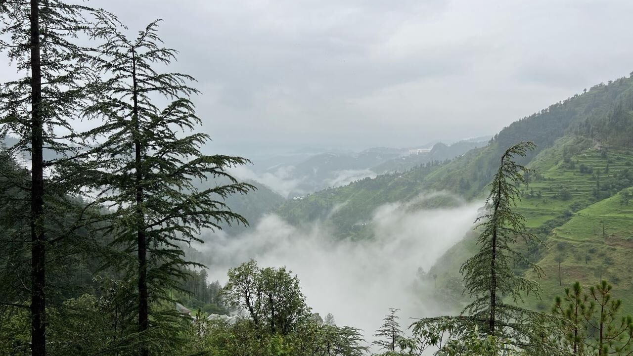 Photo of Others in Shimla