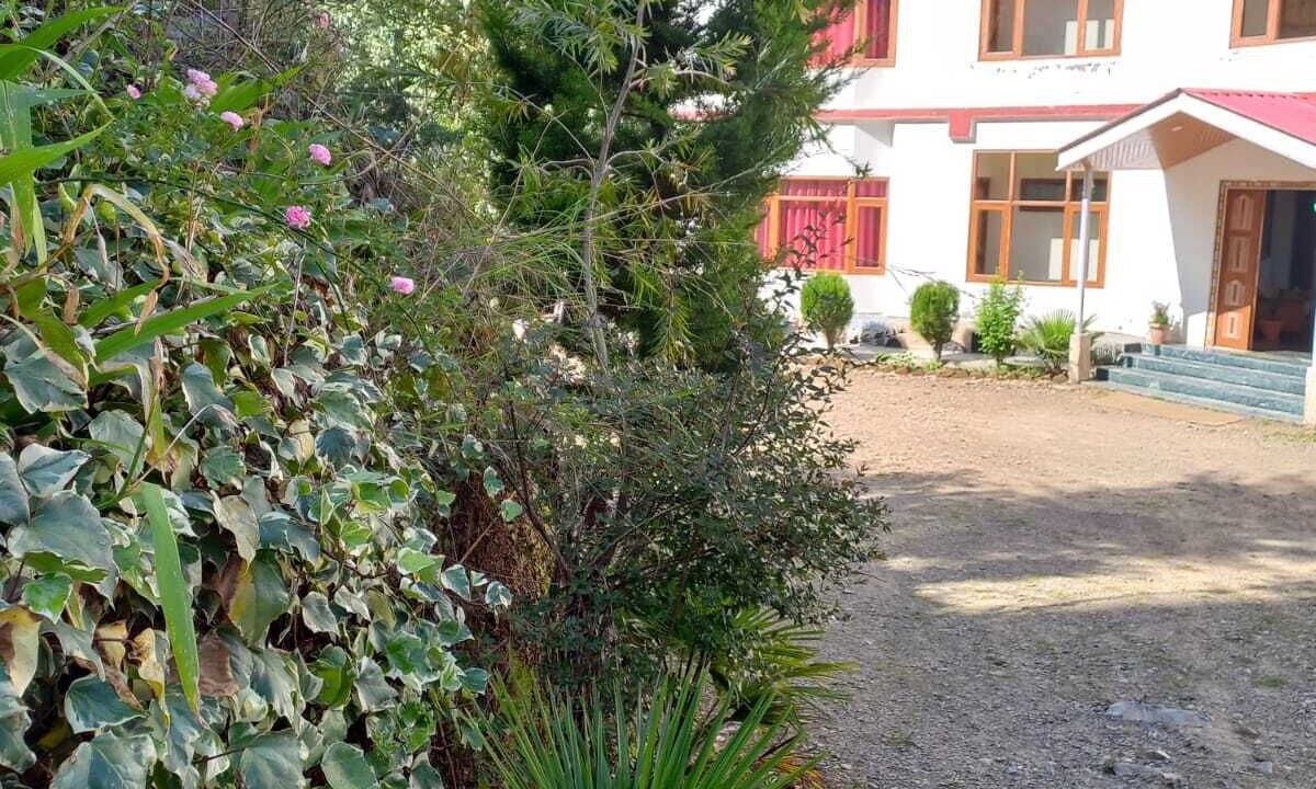 Photo of Outdoor in Shimla